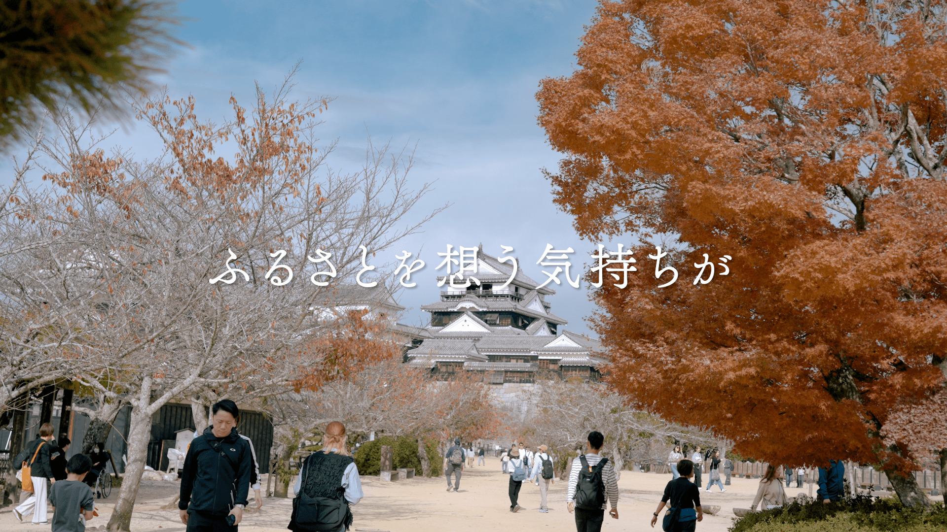 ふるさと・愛媛への想いを大切に。地域とともに歩み、その未来を支えることが私たちの仕事です。
